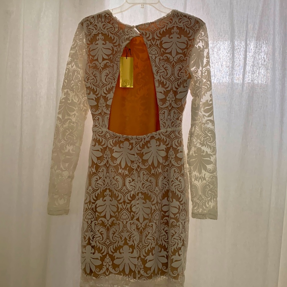 Lace with Nude lining dress